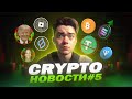 КРИПТО-НОВОСТИ #5 | Выборы в США, рост TONCOIN и крах Teather