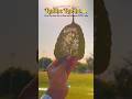 Un 2-3 likes ki keemat ❤️ | Radhe Krishna Leaf Art #shorts