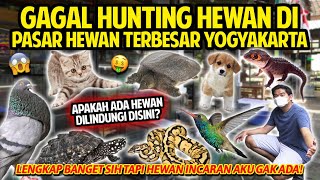 GAGAL HUNTING HEWAN IMPIAN DI PASAR HEWAN TERBESAR YOGYAKARTA! LENGKAP TAPI INCARAN AKU GAK ADA!