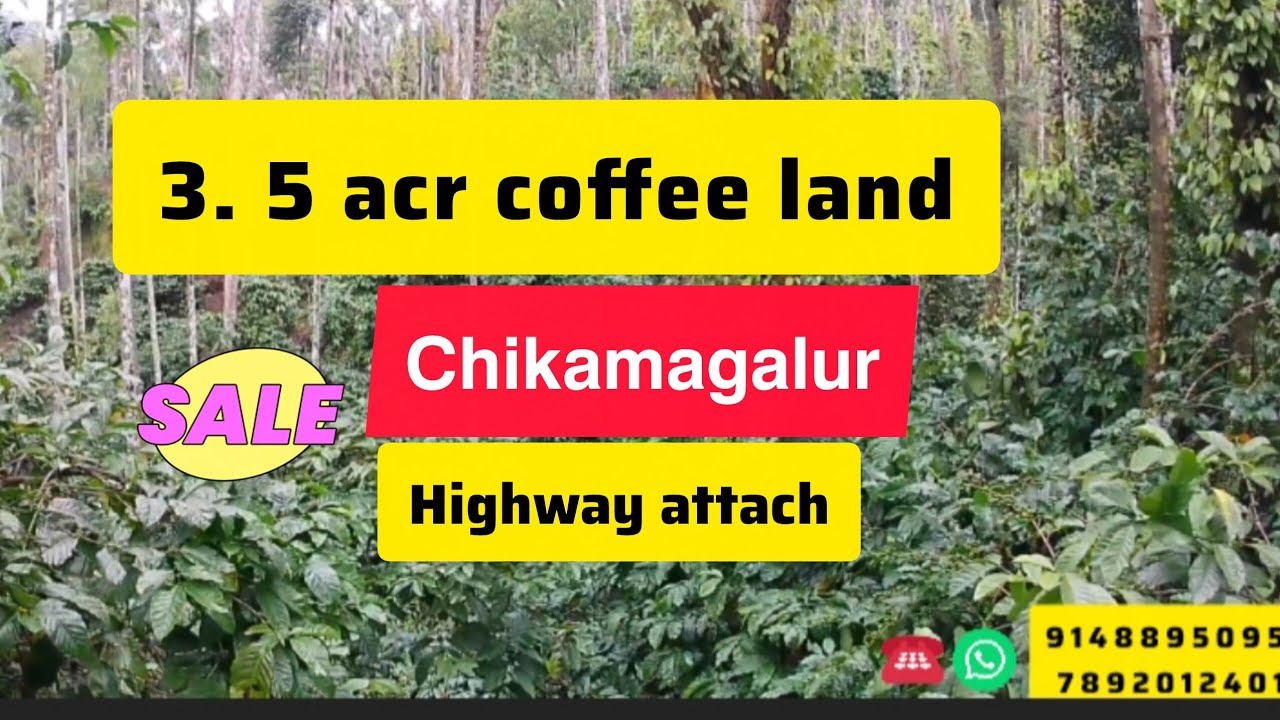 𝟯.𝟱 𝗮𝗰𝗿 𝗵𝗶𝗴𝗵𝘄𝗮𝘆 𝗮𝘁𝘁𝗮𝗰𝗵 𝗰𝗼𝗳𝗳𝗲𝗲 𝗹𝗮𝗻𝗱 𝗳𝗼𝗿 𝘀𝗮𝗹𝗲 𝗶𝗻 𝗰𝗵𝗶𝗸𝗺𝗮𝗴𝗮𝗹𝘂𝗿🌱🌱#property #realestate