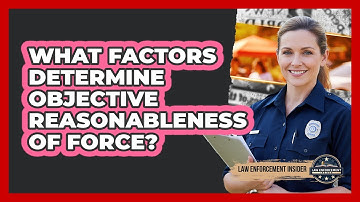What Factors Determine Objective Reasonableness of Force?