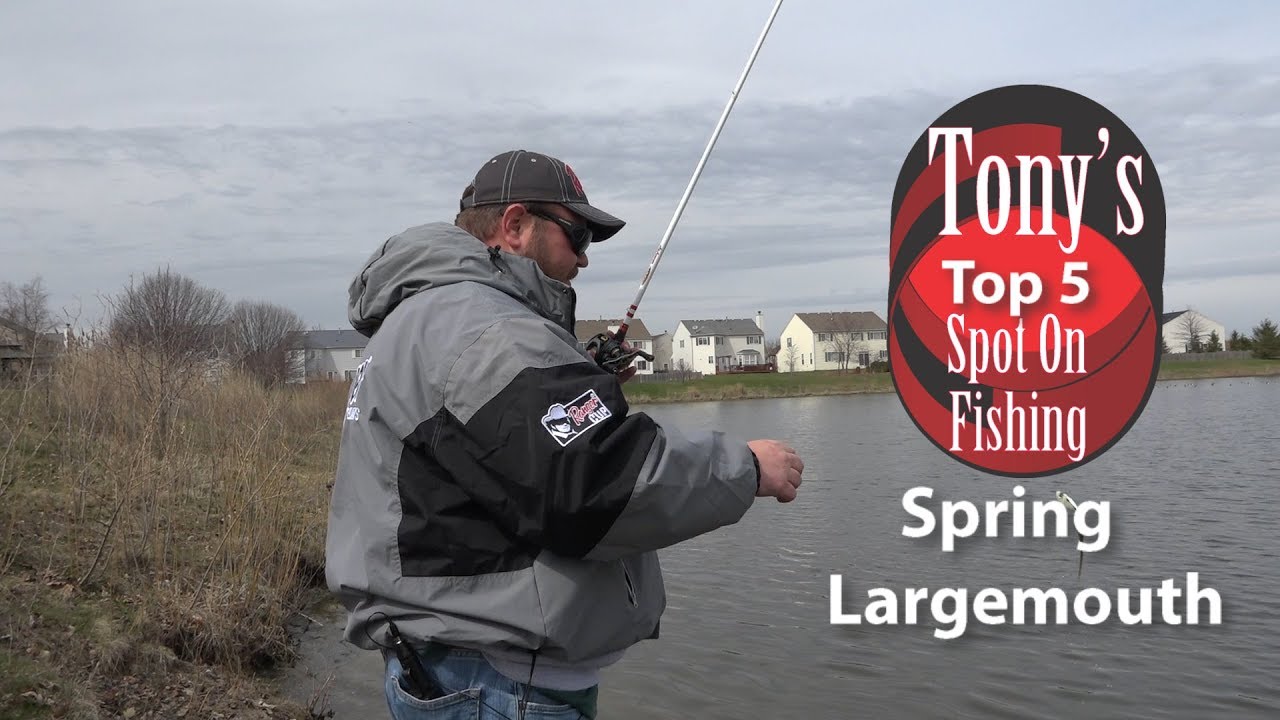 Top 5 Spring Largemouth Bass