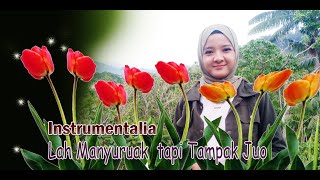 LAH MANYURUAK TAMPAK JUO - MUSIK INSTRUMENTAL MINANG SEDIH ( Official Music Video )