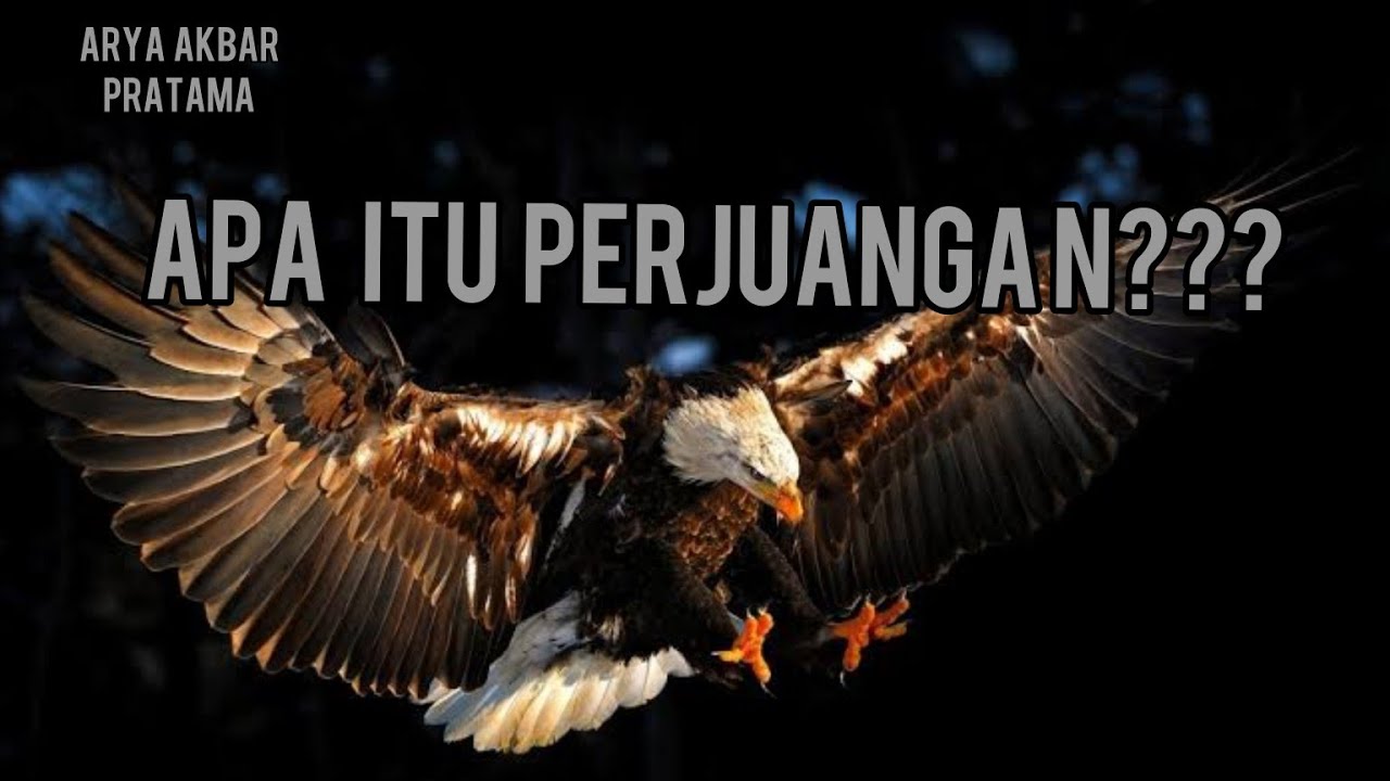 Apa itu perjuangan ?? || vidio motivasi - YouTube
