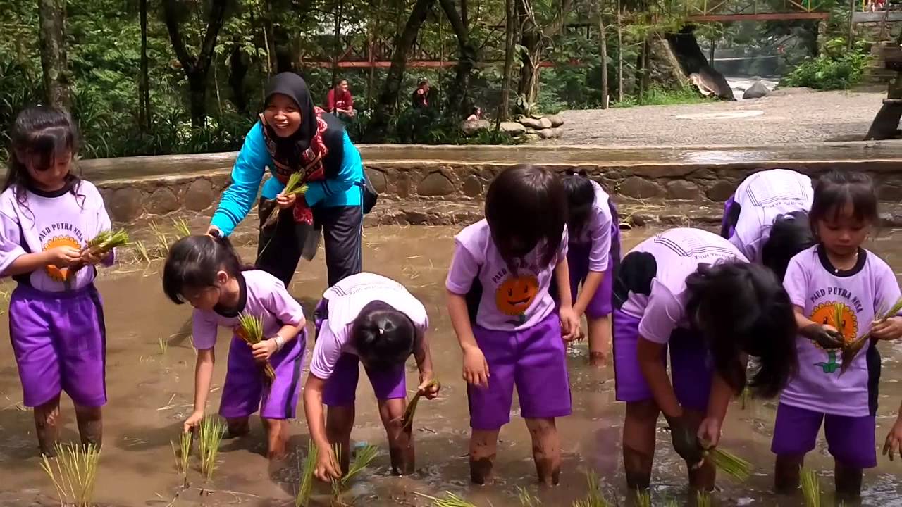 Menanam padi di Matahari...... - YouTube