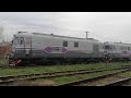 Un marfar particular Tim Rail Cargo se apropie de stația PiatraOlt cu două locomotive diesel DA60.
