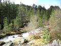 Glenmore Riverside Path. Cairngorms National Park, Scottish Highlands.