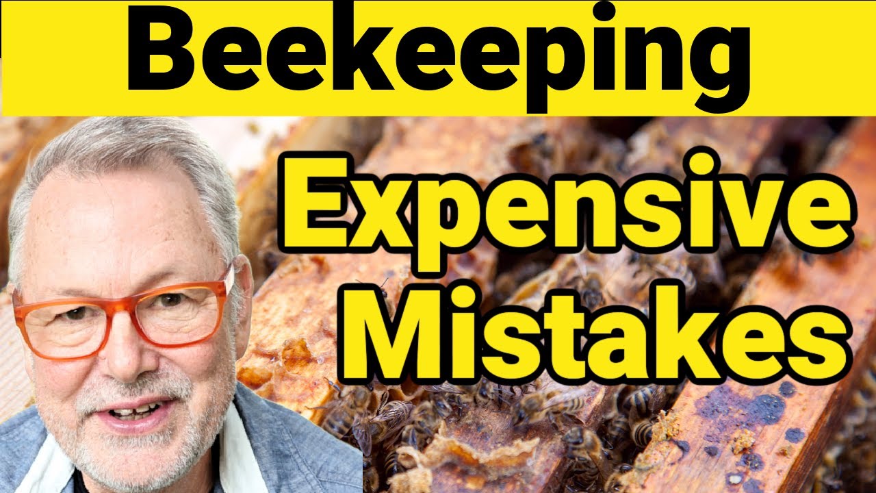 Beekeeping Mistakes That Are Very Expensive - YouTube