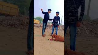 अब तो कुत्ते भी बोलने लगे ??trending comedyvideo