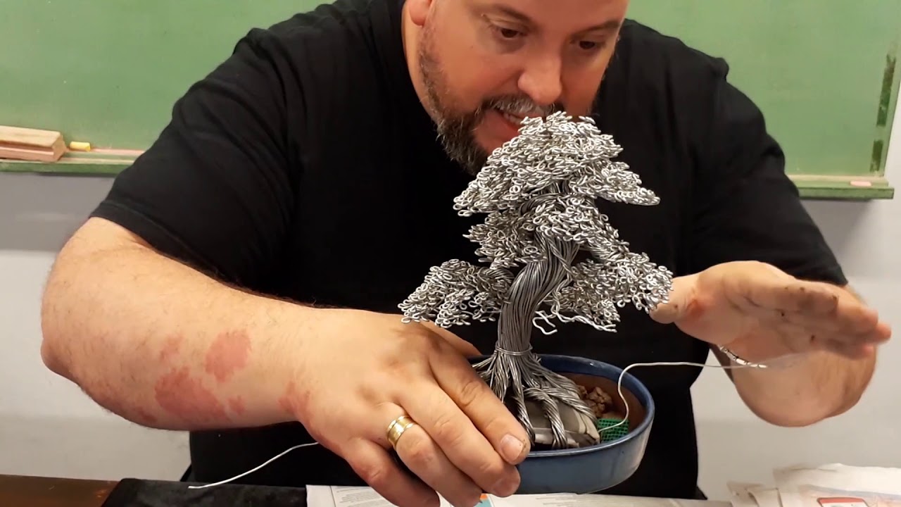 Alambre Bonsai - Perla Tu historia en un Árbol #Alambre