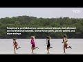 Explore the natural beauty of the Indian River Lagoon