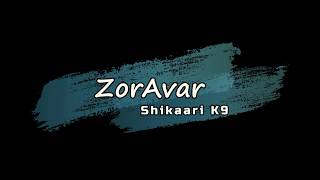 Pit-Bull High Jump Practice On Spring Pole Zoravar Shikaari K9