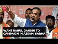 Himanta biswa sarma wants rahul gandhi to campaign in assam heres why