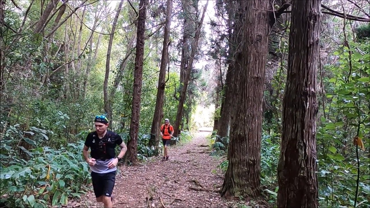 LES SENTIERS DE LA REUNION LA REDOUTE- ILET A GUILLAUME