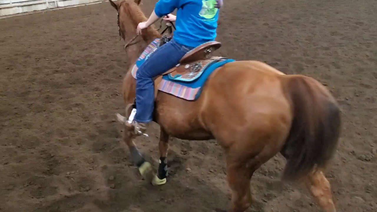 Progress on loping on horse and lead changes YouTube