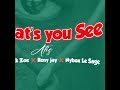 What S You See King Black Zoe Keny Jay Nybox Le Sage Official Audio