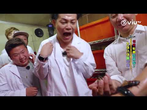 《花姐ERROR2》慎入！想嘔！曱甴養殖場！老闆含入口係咩玩法！
