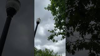 Wilsonville OR tax theft stalking program run by Rich Austria and Mary Moffit Titan fusion center