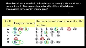 How genes are mapped - 2