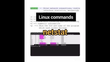 Linux command for beginners | Linux debug cmds | netstat linux command | Linux command #shorts