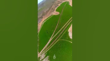 ( أفلا ينظرون إلى الإبل كيف خلقت ) || القارئ ماجد العقل