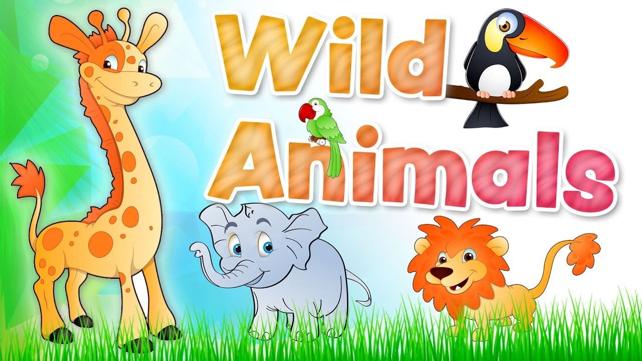Wild animals wordwall