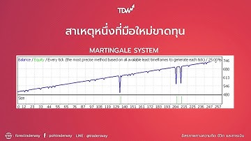เตือนมือใหม่ กลยุทธ์การเทรด Forex แบบไหนที่ควรระวัง