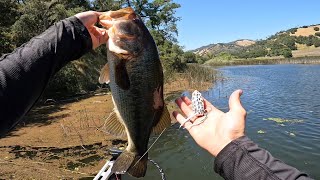 Big Bass Love The White Frog🤷🔥