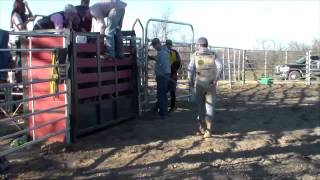 Famous Bull Riders of West Plains Profile