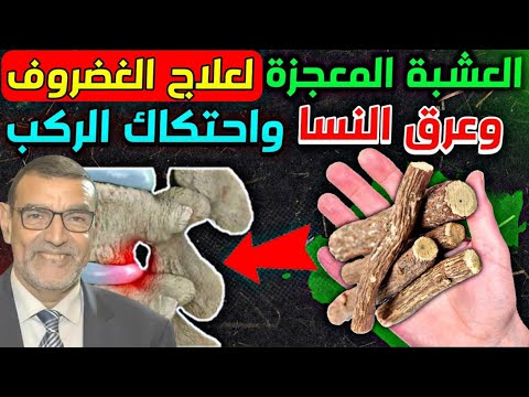 الدكتور الفايد العشبة المعجزة لعلاج الغضروف وعرق النسا واحتكاك الركبة