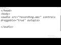 Audio tag