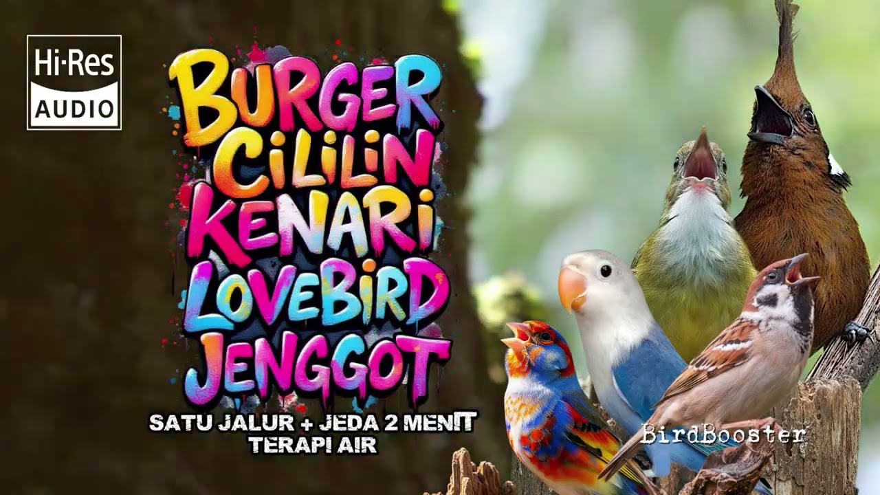 MASTERAN BURUNG ANDALAN MATERI JUARA!!