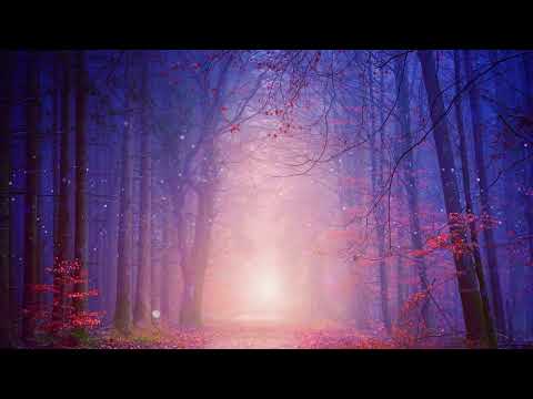 Beautiful Meditation Music Relaxing Music Healing Music In 432Hz By Tim Vogt 