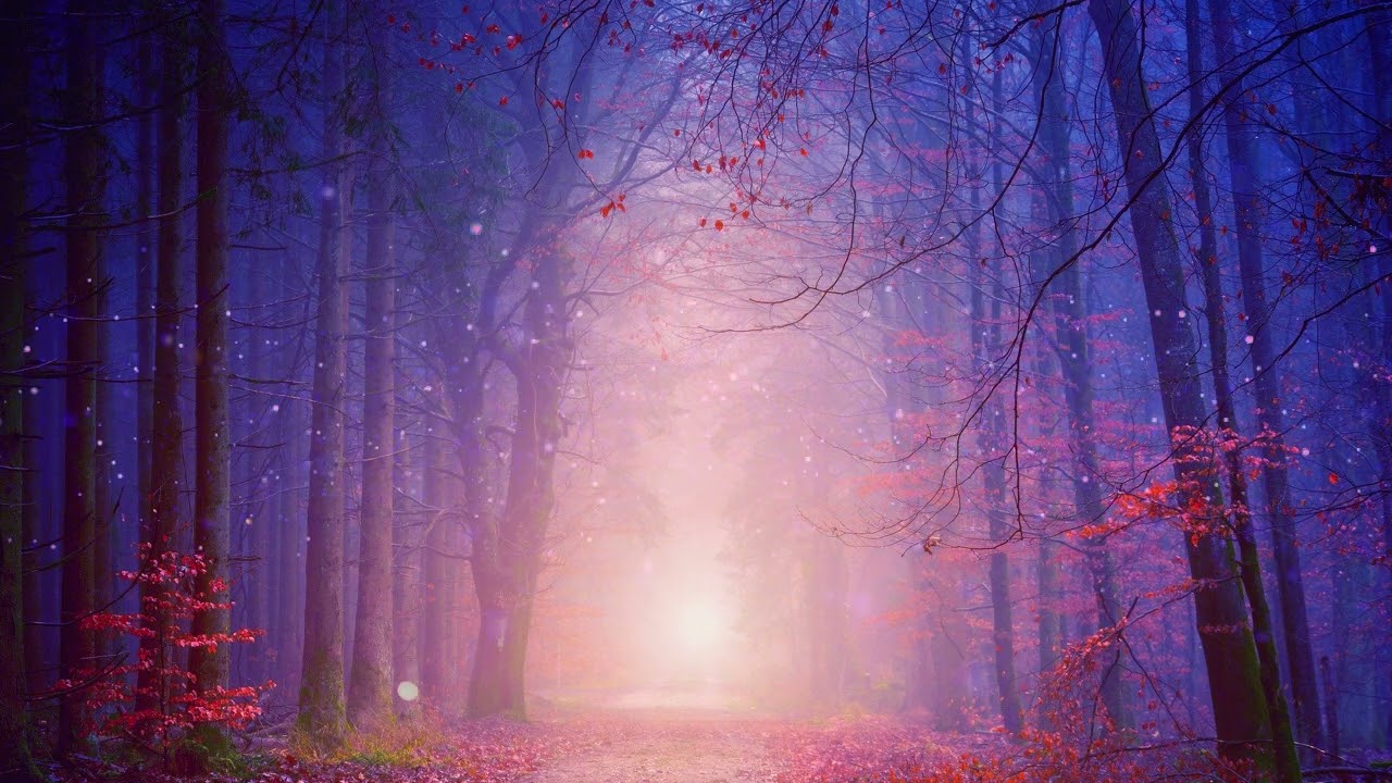 Beautiful Meditation Music, Relaxing Music, Healing Music in 432Hz • by Tim Vogt