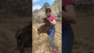 "Smart Farming Tech We Use in 2025"