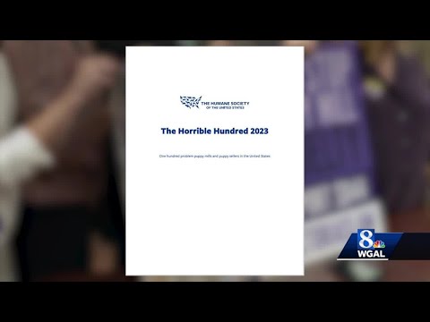 Video: La legalización de la marihuana tiene efectos secundarios inesperados para las mascotas