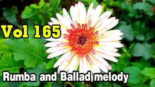 Beautiful melodies about life, people and nature, Rumba and ballad instrumental music, vol 165