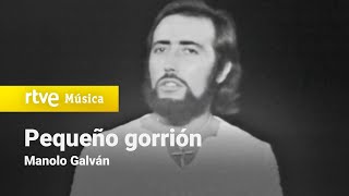 Video thumbnail of "Manolo Galván - "Pequeño gorrión" (1974) HD"