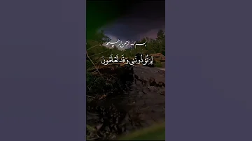 الشيخ سعد الغامدي سورة الصف 
