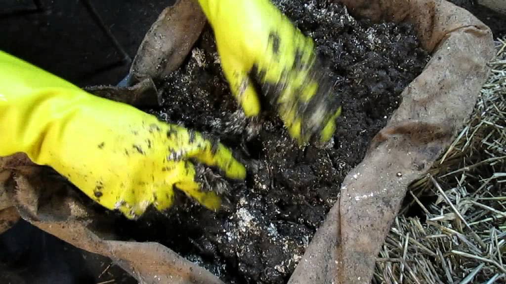 Старатель видео. Старатель видео