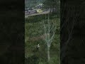 Адский Рейд Медоеда!