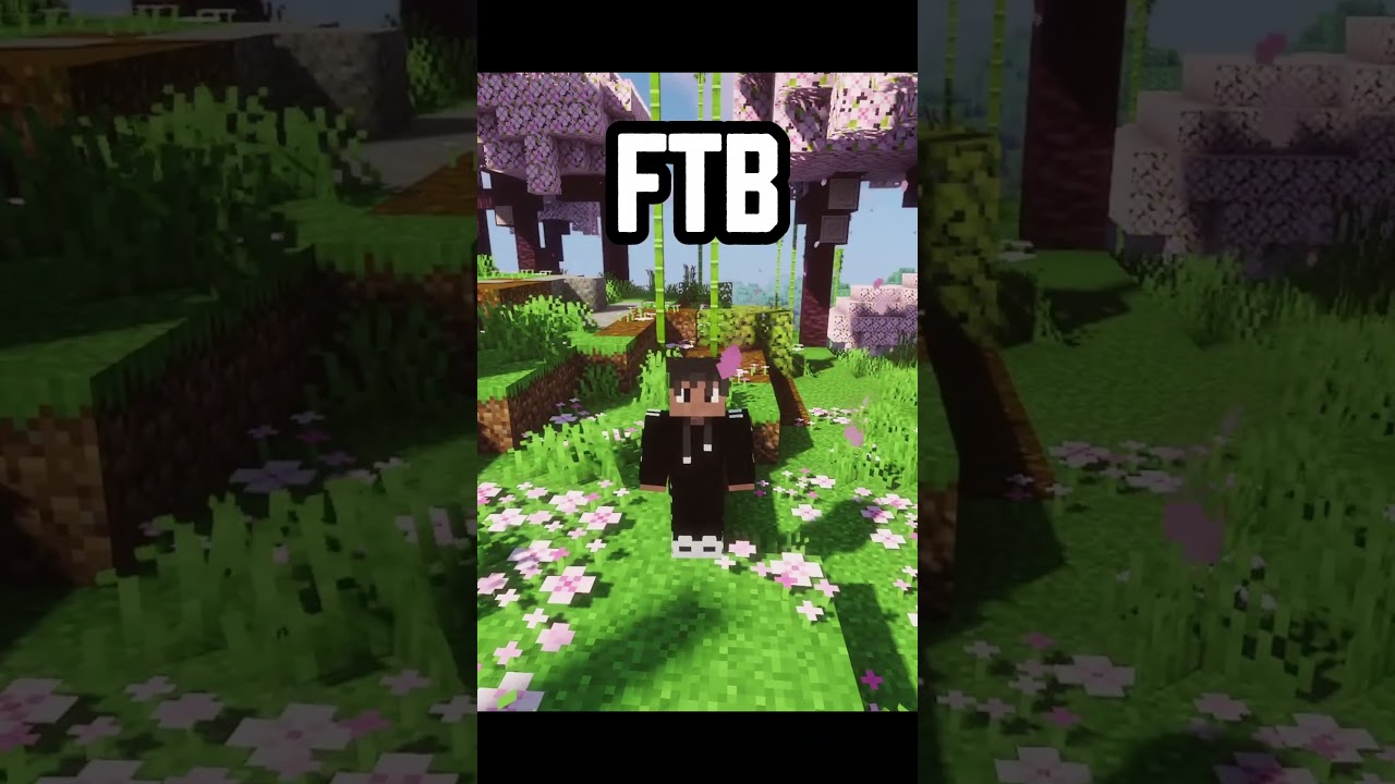 New Minecraft Pack