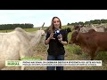Record News Rural - 26/05/2026