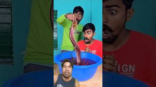 Get ready for nonstop entertainment! From hilarious skits, jaw-dropping challenges