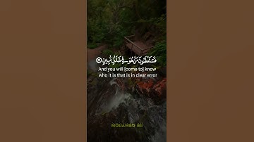 قل أرأيتم إن أهلكني الله ومن معي أو رحمنا // ما تيسر من #سورة_الملك -الآية 28 🎧🎧
