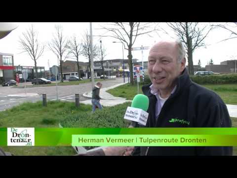 VIDEO | Nu ook Swifterbant een mozaïek heeft kan Tulpenroute Dronten beginnen