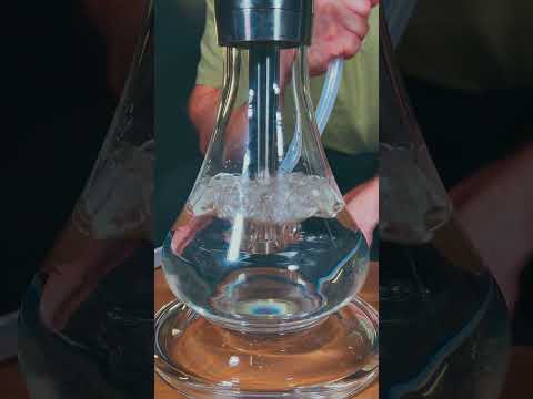 Chicha Skull Eleanor Video