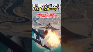 F14トムキャットは空中で片翼になっても生き残れるか?試してみた! #dcs