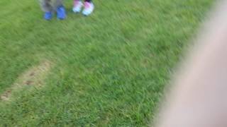 New Zealand, Devon Port