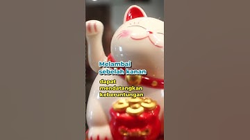 Thumbnail of Patung Kucing di Toko Chindo #short #manekineko #oscardarmawan